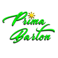 Prima Barton Brushes