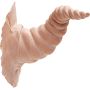 Latex Horns Sylph