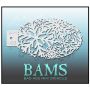 Bad Ass Bams FacePaint Stencil Snowflakes