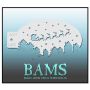 Bad Ass Bams FacePaint Stencil Santa Claus