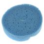 Facepaint Sponge Rough Blue