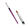 Marcela Bustamante Blazin Brush Floralia Medium