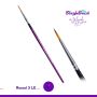 Marcela Bustamante Blazin Brush Round 3 LE