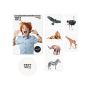 Temporary Tattoo Animal Set