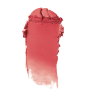 Clinique Chubby Stick Robust Rhubarb 02