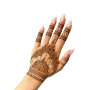 Henna Kit Ornamental