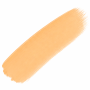 Faceart Facepaint 30g Neon Papaya Orange