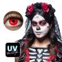UV Flash Red Lenses