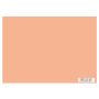 Practice Board Skin Color