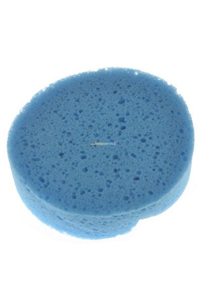 Facepaint Sponge Rough Blue