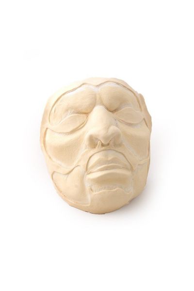 Mask Mania Wicked Willy Mask
