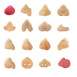 Grimas Latex Noses