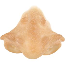 Grimas Latex Dragon Snout 304
