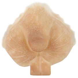 Grimas Latex Rabbit Snout 310