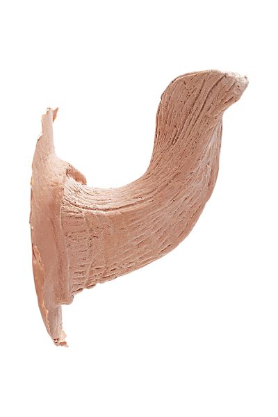 Latex Horns Satyr