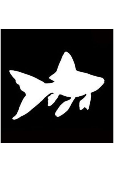 Glittertattoo Stencil Goldfish (5 pack)