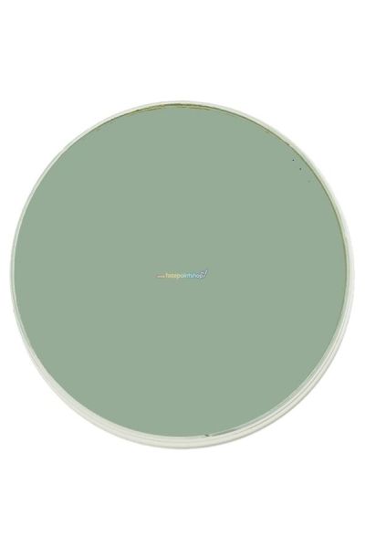 Kryolan Supracolor 074 8ml