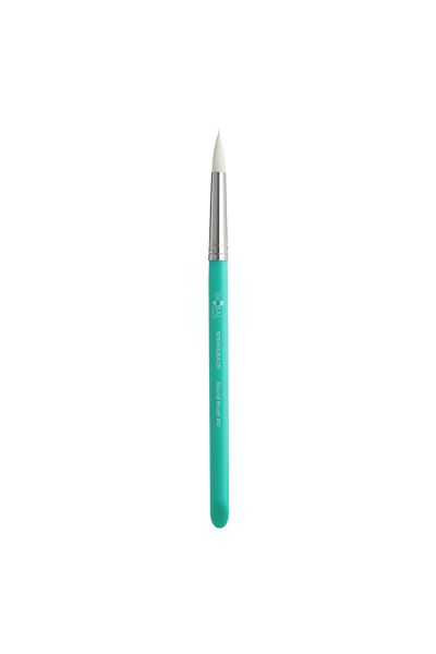 Global Round Springback Brush 12