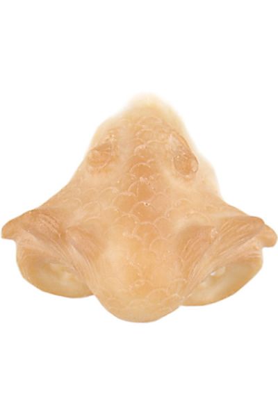 Grimas Latex Dragon Snout 304
