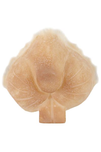 Grimas Latex Rabbit Snout 310