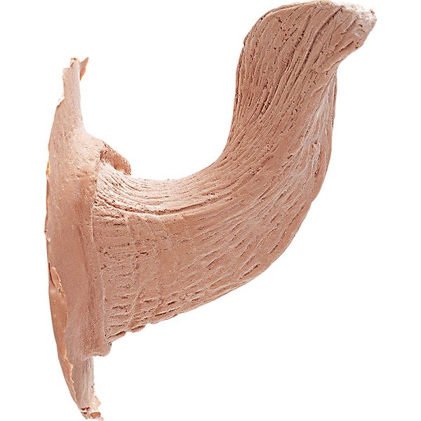 Latex Horns Satyr