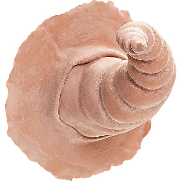 Latex Horns Sylph
