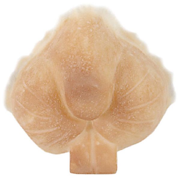 Grimas Latex Rabbit Snout 310
