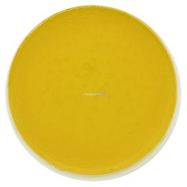 Kryolan Supracolor 509