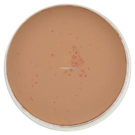 Kryolan Supracolor 5w