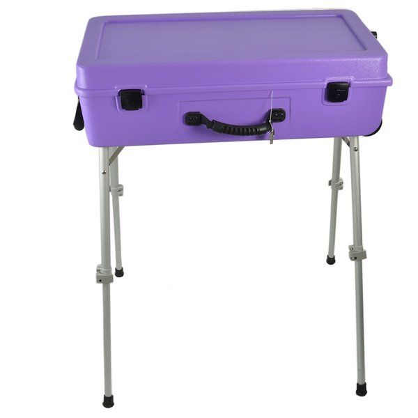 Purple Craft-n-Go Paint 28" Station with Accessories